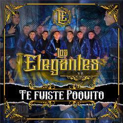 Te Fuiste Poquito