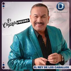 De Amor No Se Vive