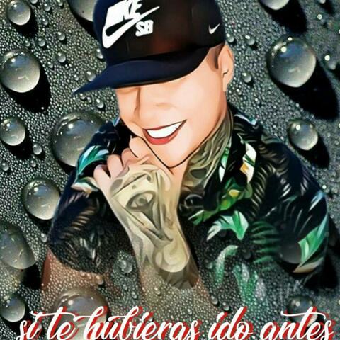 Si Te Hubieras Ido Antes