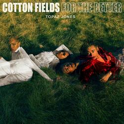 Cotton Fields