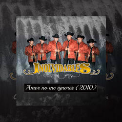 Amor No Me Ignores