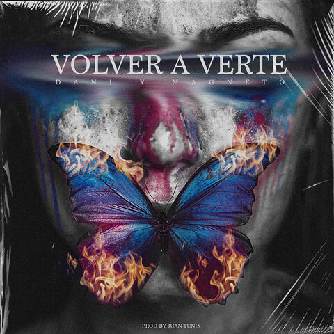 Volver a Verte