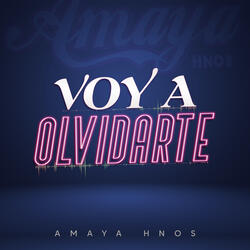 Voy a Olvidarte