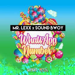 Whatsapp Number