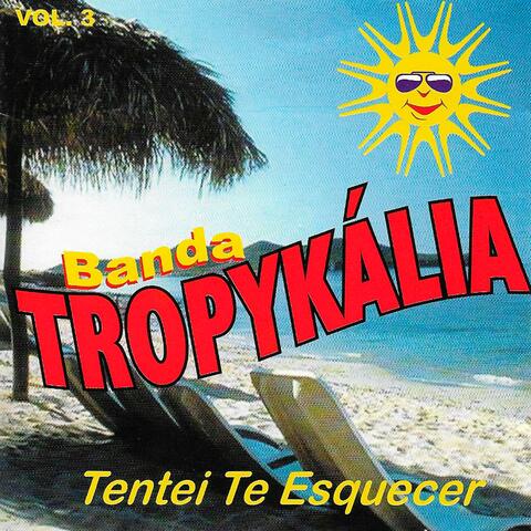 Tentei Te Esquecer, Vol. 3