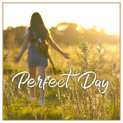 Perfect Day