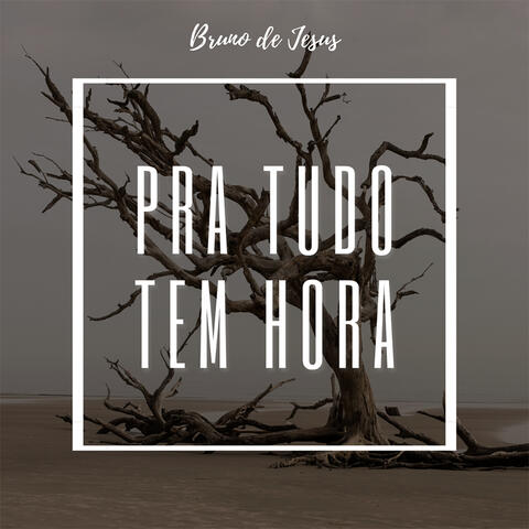 Pra Tudo Tem Hora