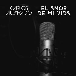 El Amor de Mi Vida