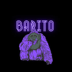 Barito