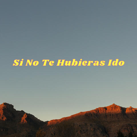 Si No Te Hubieras Ido