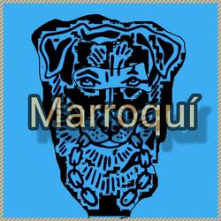 [Free] Type Beat Drill - Marroquí