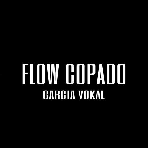 Flow Copado