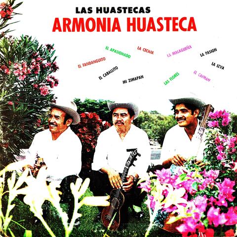 Las Huastecas