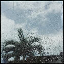 Rainy Day