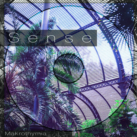 Sense