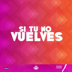 Si Tu No Vuelves