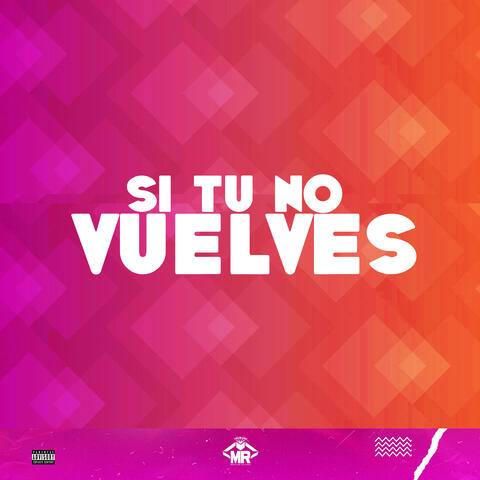 Si Tu No Vuelves