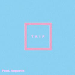 Trip