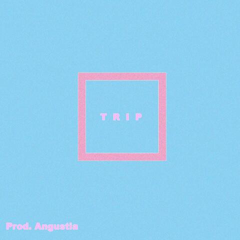 Trip