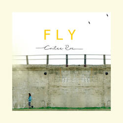 Fly