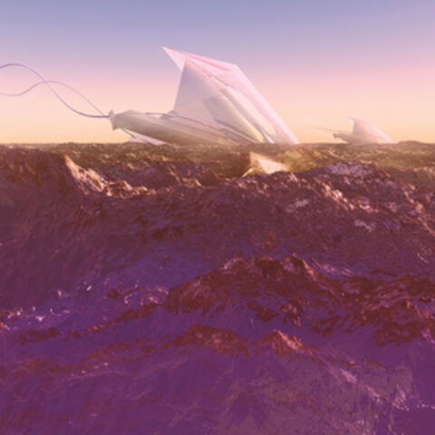 The Amaranthine Sea