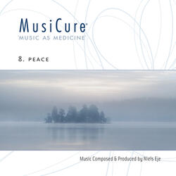 Sunset Birds & The Moon