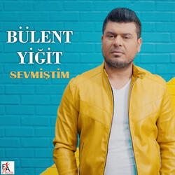 Sevmiştim