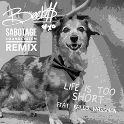 Life is Too Short (Sabo Remix)