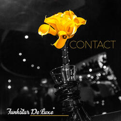 Contact