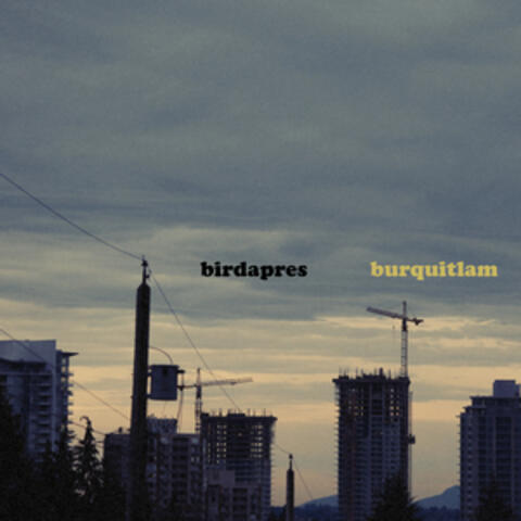 Birdapres