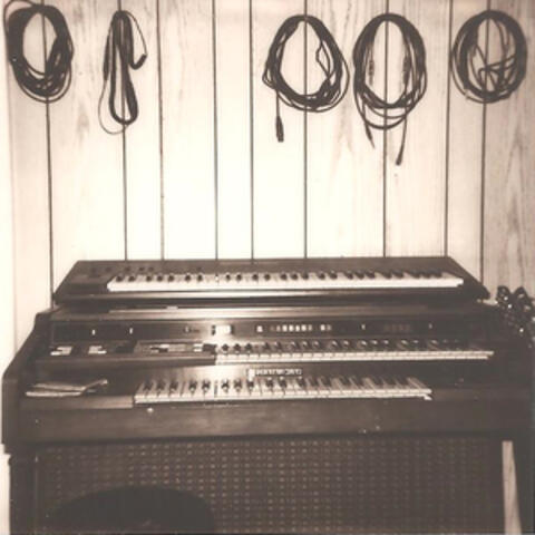 Cut Flowers (Single Version)