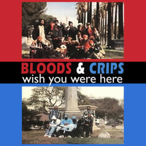 Bloods & Crips