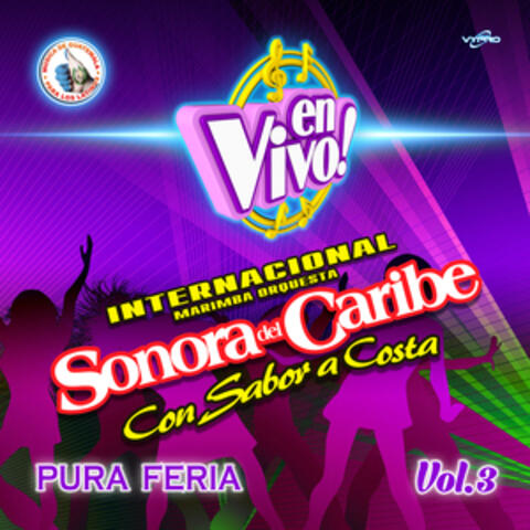 Pura Feria Vol. 3. Música de Guatemala para los Latinos (En Vivo)