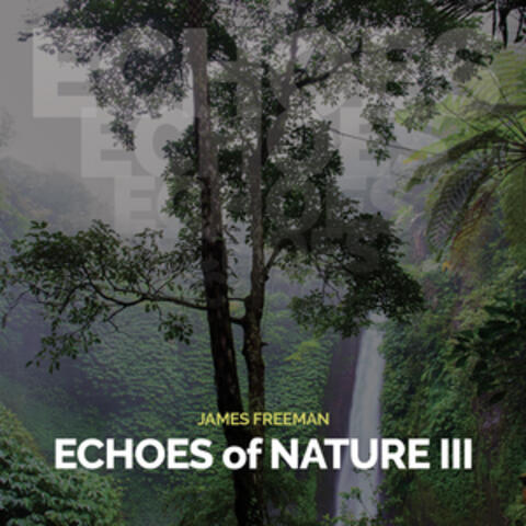 Echoes of Nature III