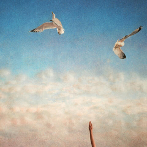 Coincidence Makes a Miracle