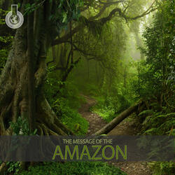 Sounds of the Amazon
