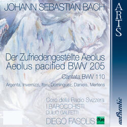 Cantata "Der Zufriedengestellte Aeolus" BWV 205: Aria (Aeolus) “Zurücke, zurücke, geflügelten Winde”