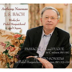 Sonata No. 2 in C Minor, BWV 526: III. Allegro