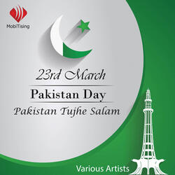 Main Bhi Pakistan Hoon