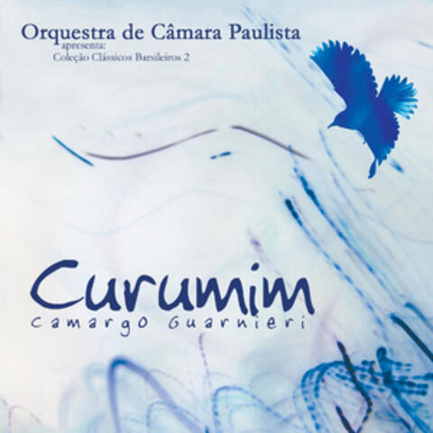 Curumim