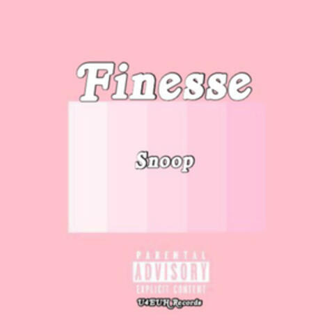 Finesse