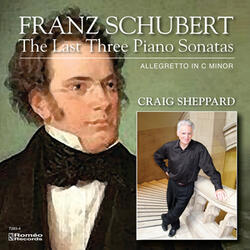Allegretto in c minor, D 915