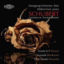 Serenade in D Major, Op. 41: IV. Andante con Variaziono [I-III]