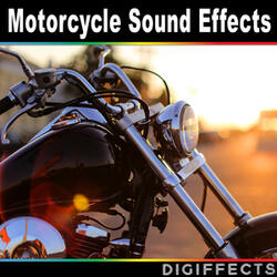 Harley Davidson Revving
