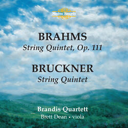 String Quintet in G Major, Op. 111: III. Un poco allegretto