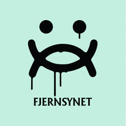 Fjernsynet