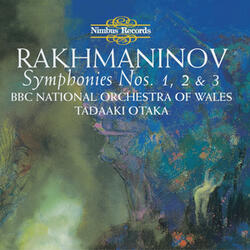 Symphony No. 1 in D Minor, Op. 13: II. Allegro animato