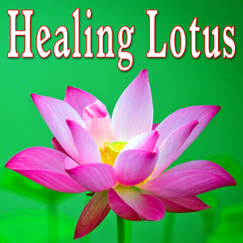Healing Lotus