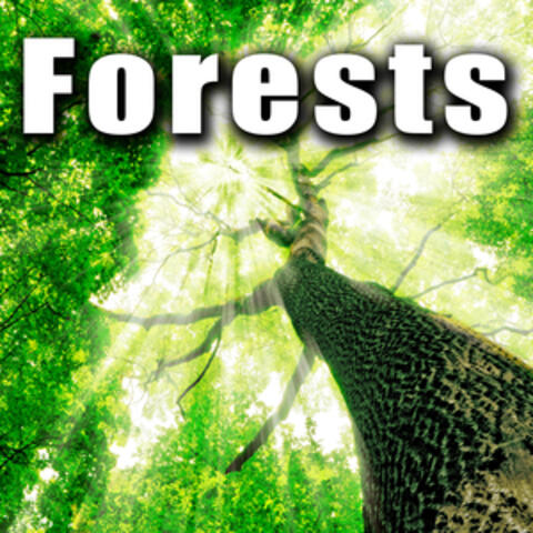 Forests