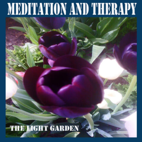 Meditation and Therapy